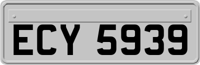 ECY5939