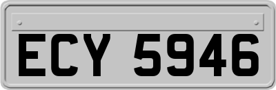 ECY5946
