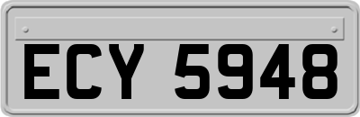ECY5948