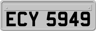 ECY5949