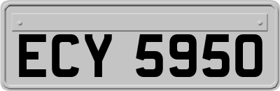 ECY5950