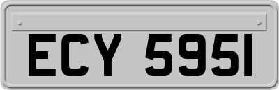 ECY5951