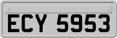 ECY5953