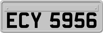ECY5956