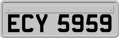 ECY5959