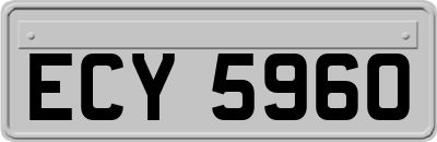 ECY5960