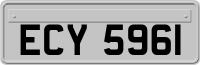 ECY5961