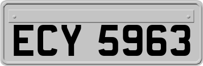 ECY5963