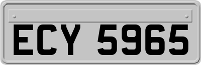 ECY5965