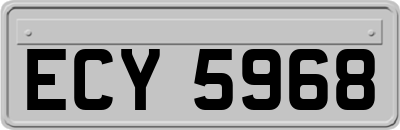 ECY5968