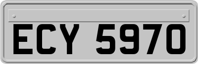ECY5970