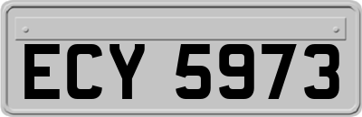 ECY5973