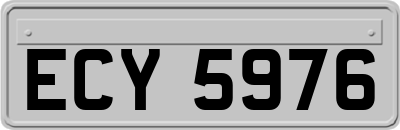 ECY5976