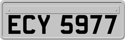 ECY5977