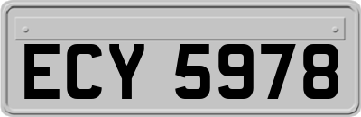 ECY5978