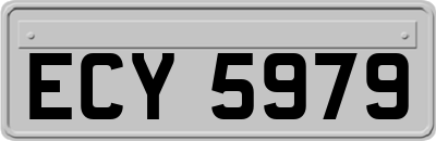 ECY5979