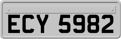 ECY5982