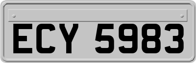 ECY5983