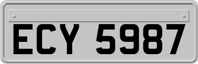 ECY5987