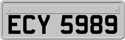 ECY5989