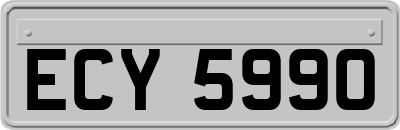 ECY5990