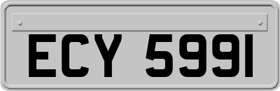 ECY5991