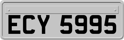 ECY5995