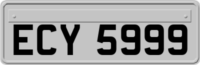 ECY5999