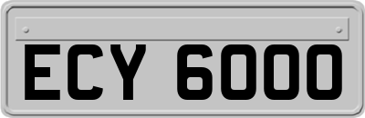 ECY6000