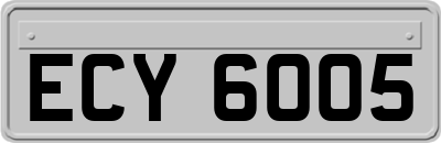 ECY6005