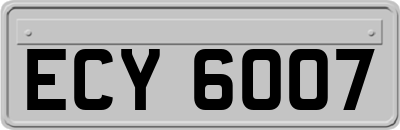 ECY6007