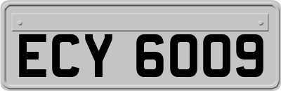 ECY6009