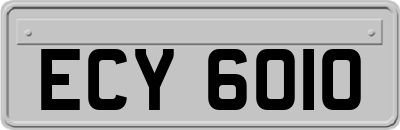 ECY6010