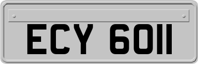ECY6011
