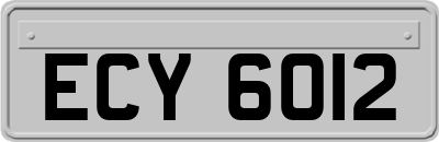 ECY6012