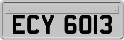 ECY6013