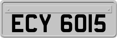 ECY6015