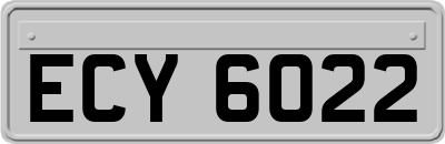ECY6022