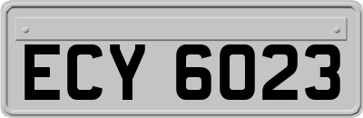 ECY6023