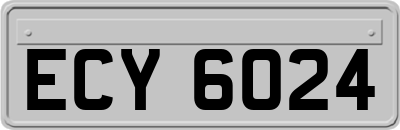 ECY6024