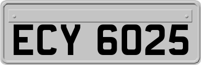 ECY6025