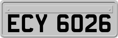 ECY6026