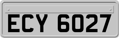 ECY6027