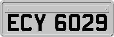 ECY6029