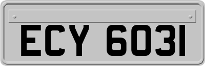 ECY6031