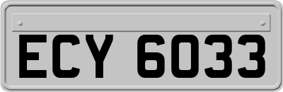 ECY6033