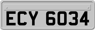 ECY6034