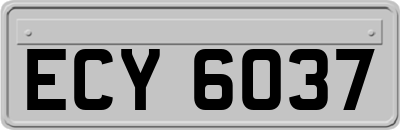 ECY6037