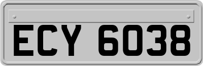 ECY6038
