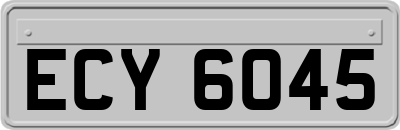 ECY6045
